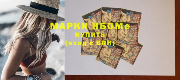 индика Заволжье