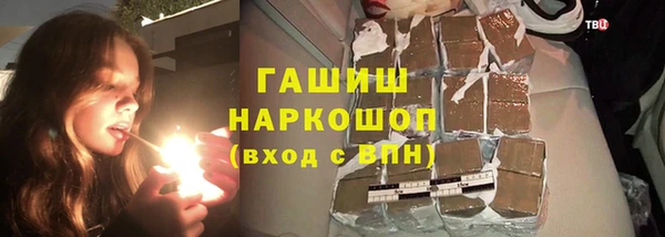 индика Заволжье
