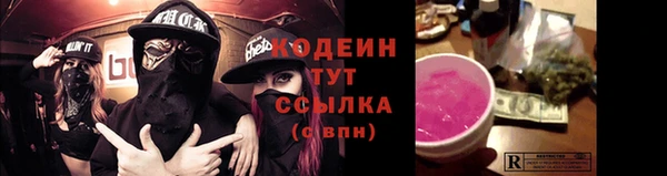 индика Заволжье