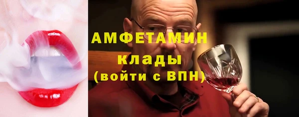 индика Заволжье