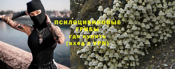 наркотики Заводоуковск