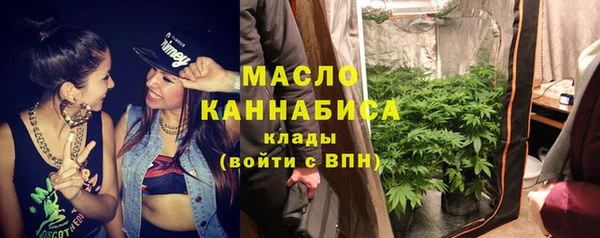 индика Заволжье