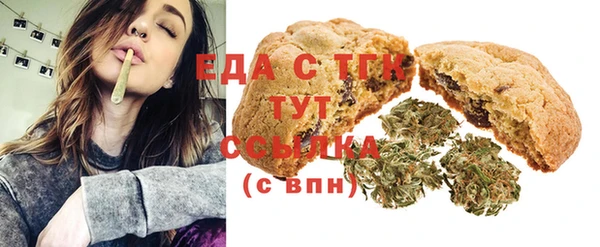 индика Заволжье