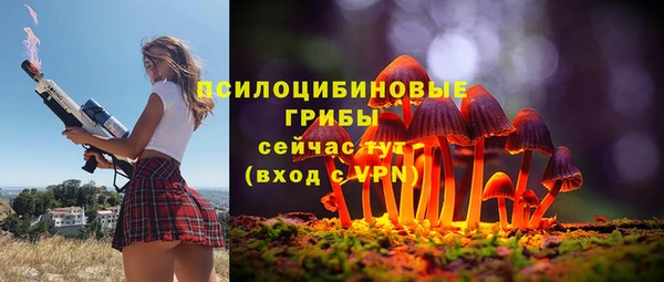 индика Заволжье