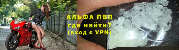индика Заволжье