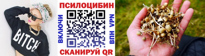 Псилоцибиновые грибы прущие грибы Купить где Ардон